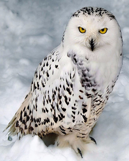 Snowy Owl Diamond Painting Wall Art Decor