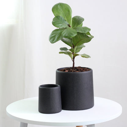 "High-End Minimalist Concrete Indoor Plant Pot"