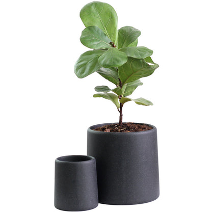 "High-End Minimalist Concrete Indoor Plant Pot"